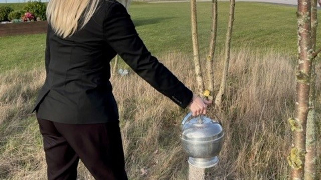 Crematorium Assistant Scattering Ashes In Crematorium Woodland