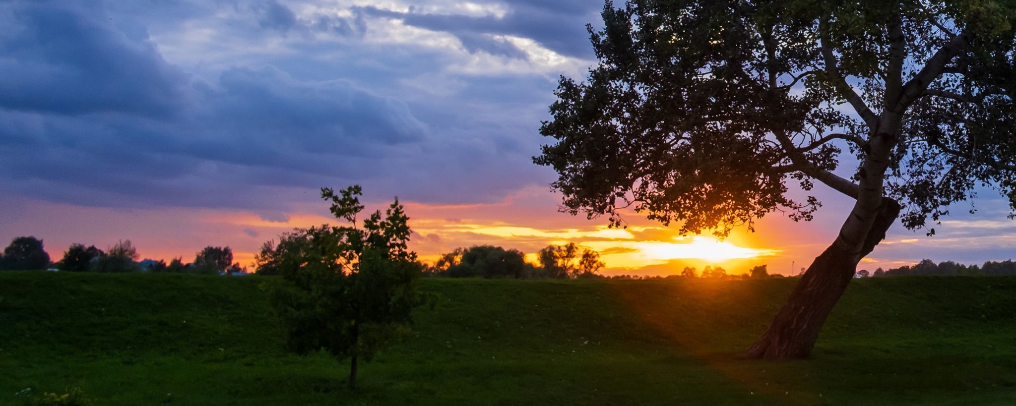 Sunset Over English Field With Tree