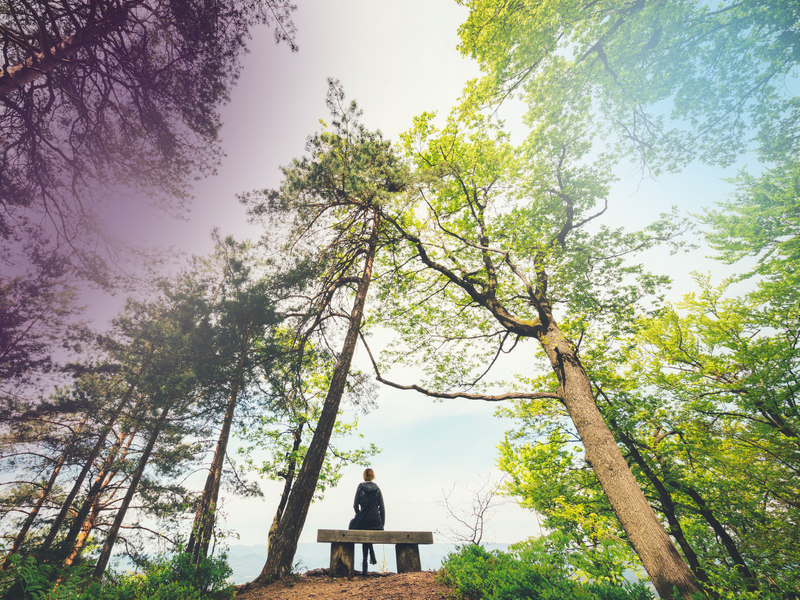 5 stages of grief, bargaining  and mindfulness