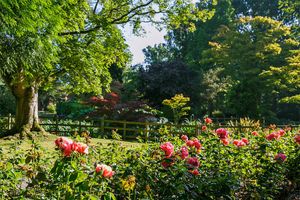 Charing Crematorium Grounds