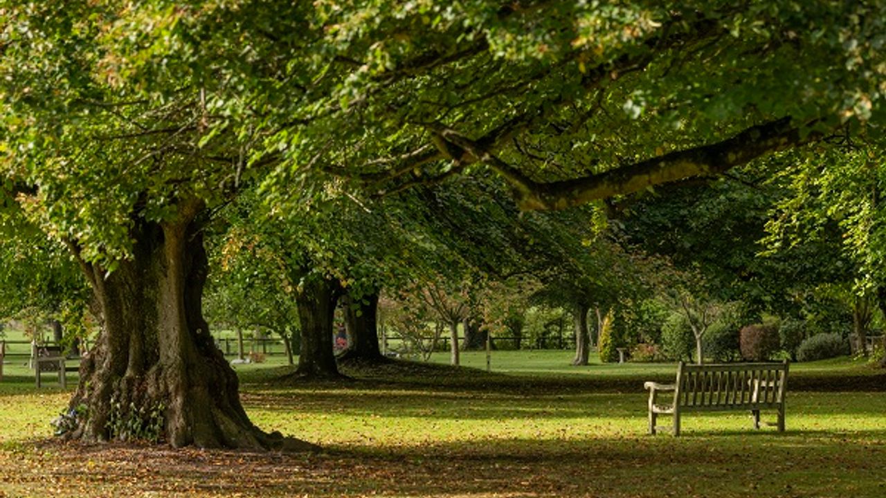 Babworth Crematorium Woodland Grounds