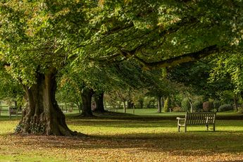 Babworth Crematorium Woodland Grounds
