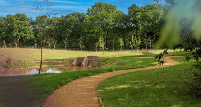 WAS - Waseley Hills Crematorium- DC