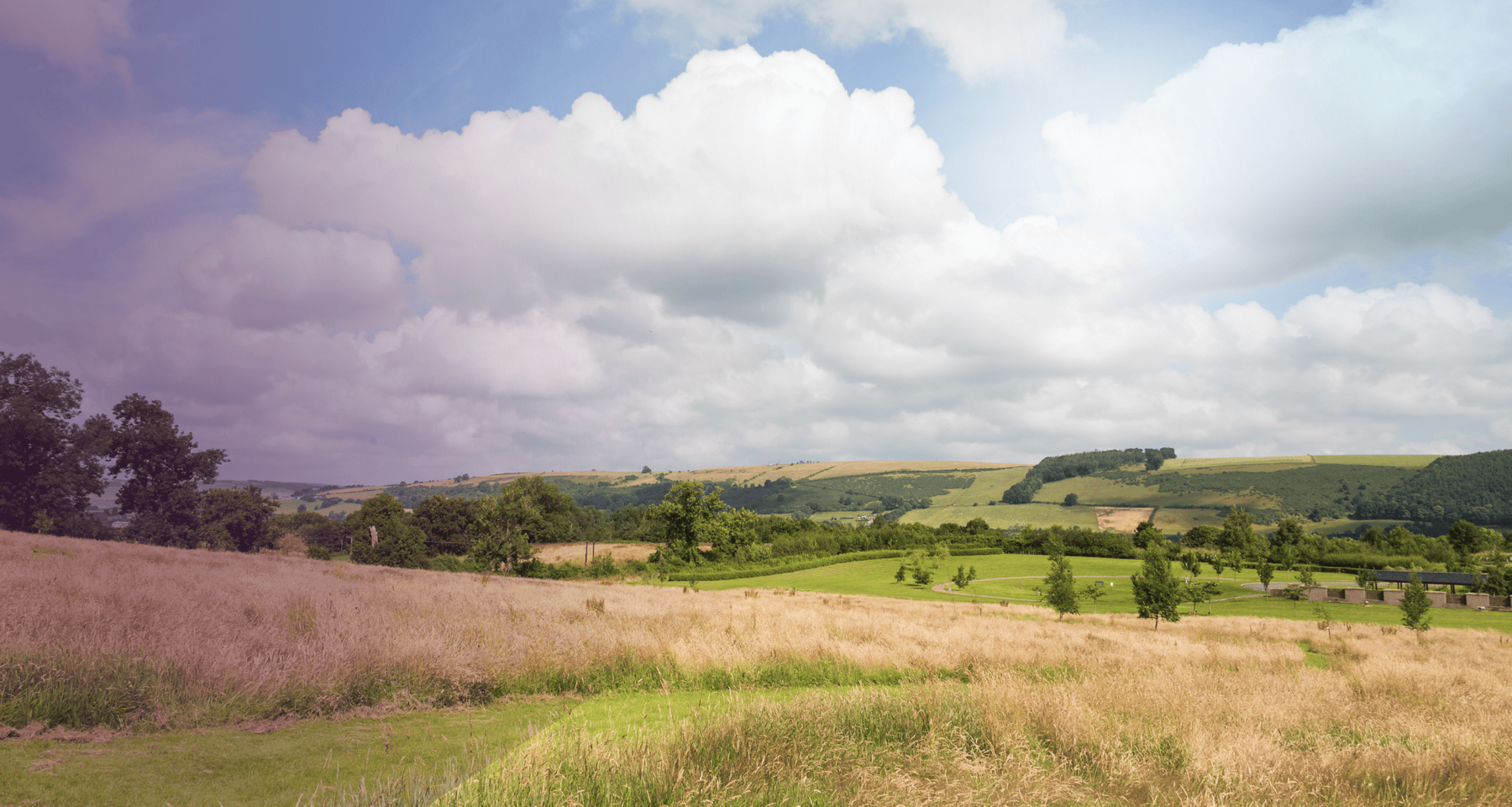 BOR - A view from Borders Crematorium