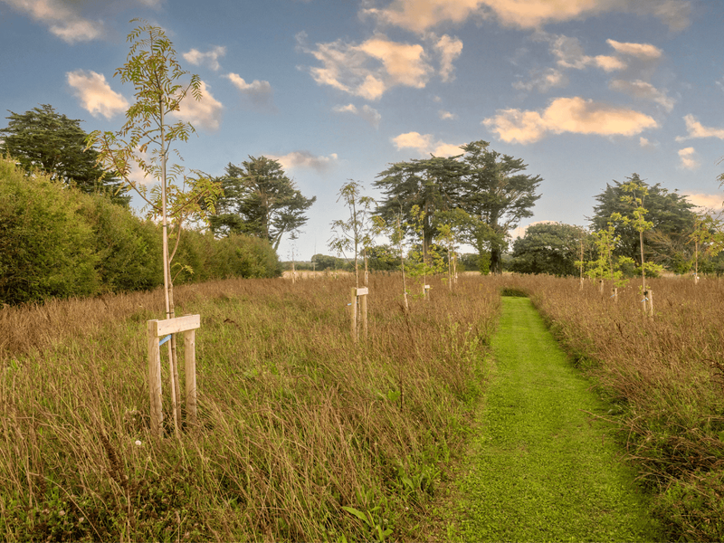 ARN - Arun Crematorium - Garden