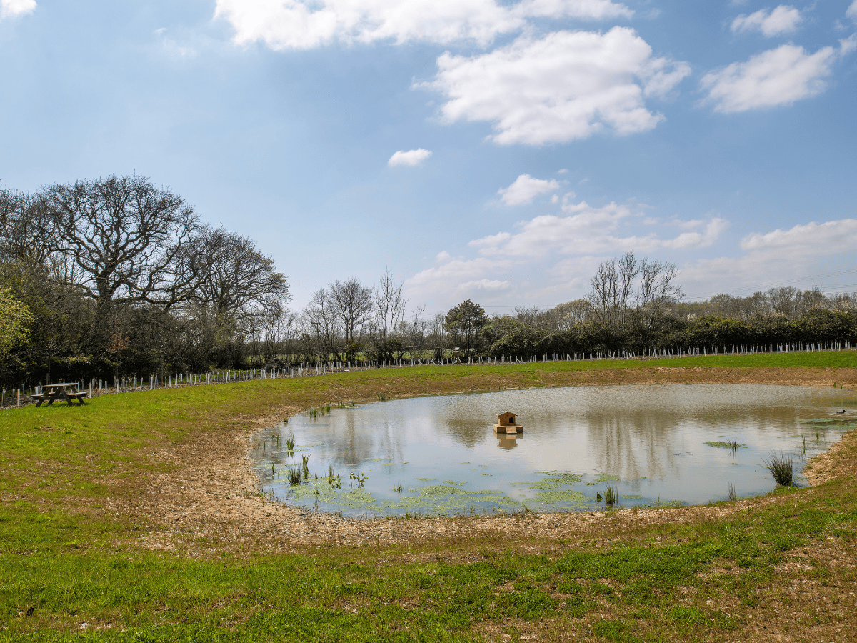 NWF -New Forest Crematorium - Grounds 3