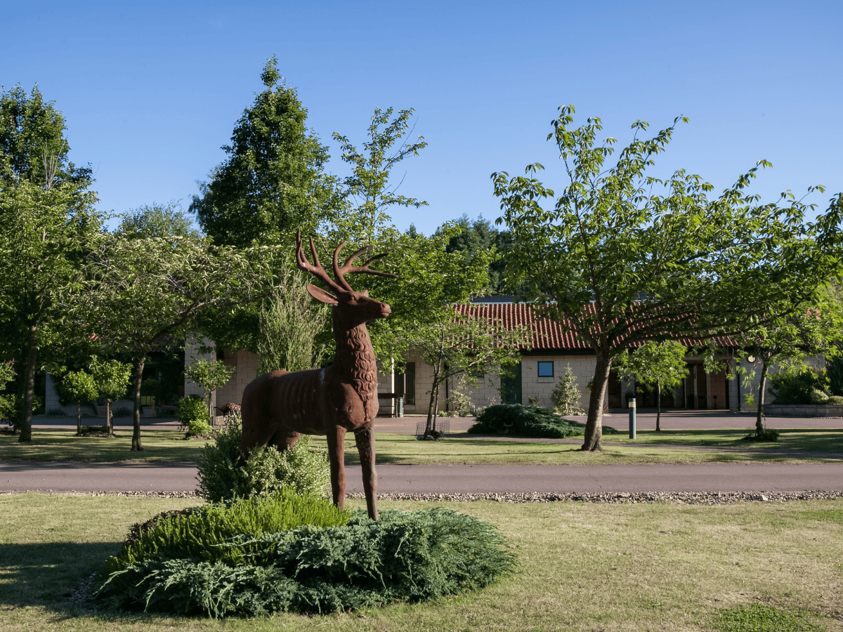 WSU - West Suffolk Crematorium - Grounds 2