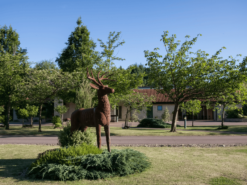 WSU - West Suffolk Crematorium - Grounds 2
