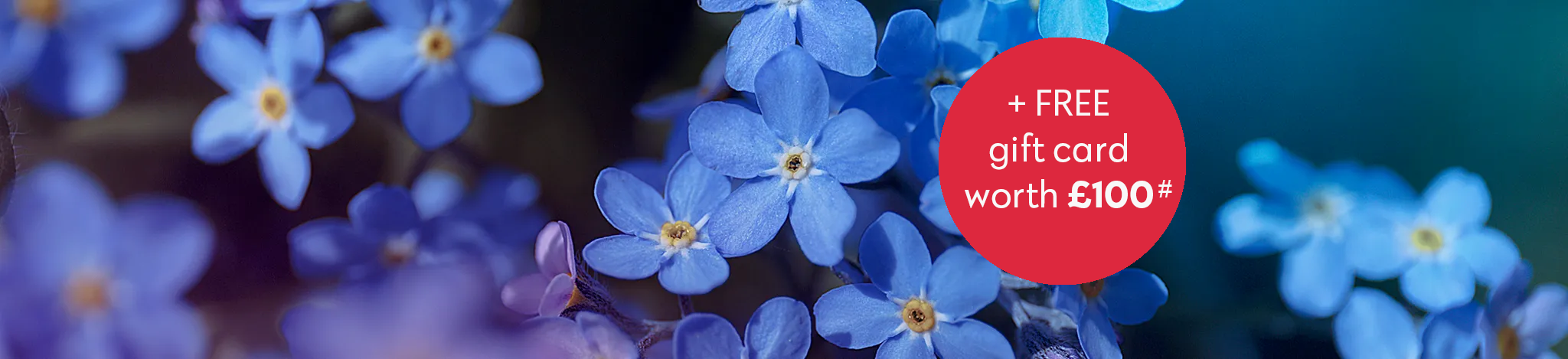 Blue Forget Me Nots Mobile Banner