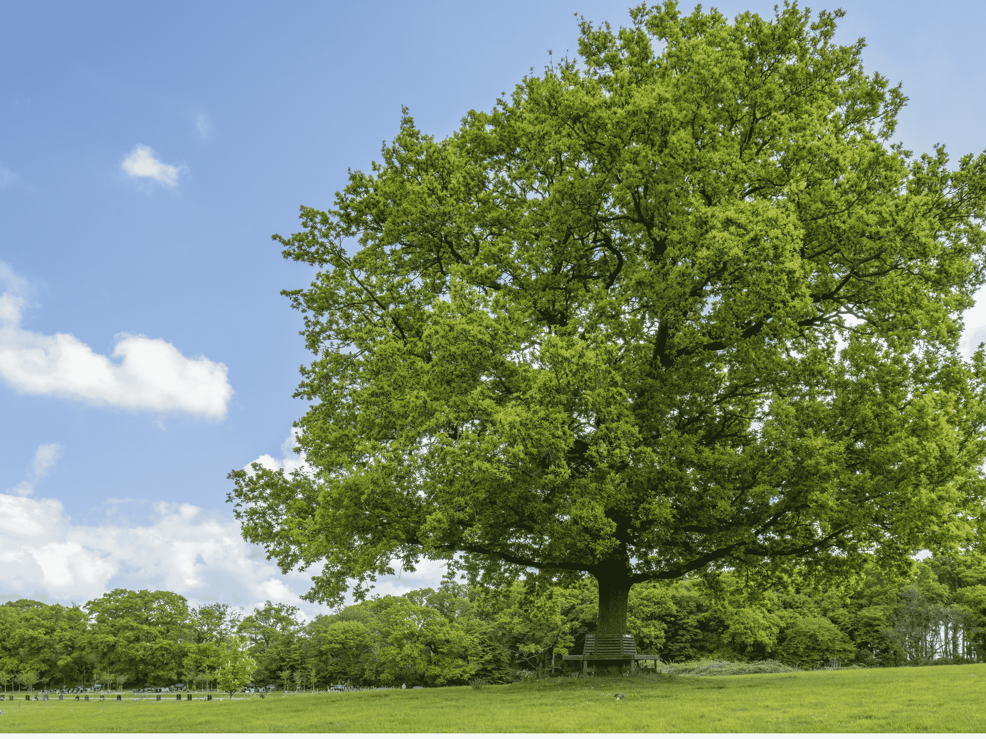 PDW - Parndon Wood Crematorium - Grounds 2