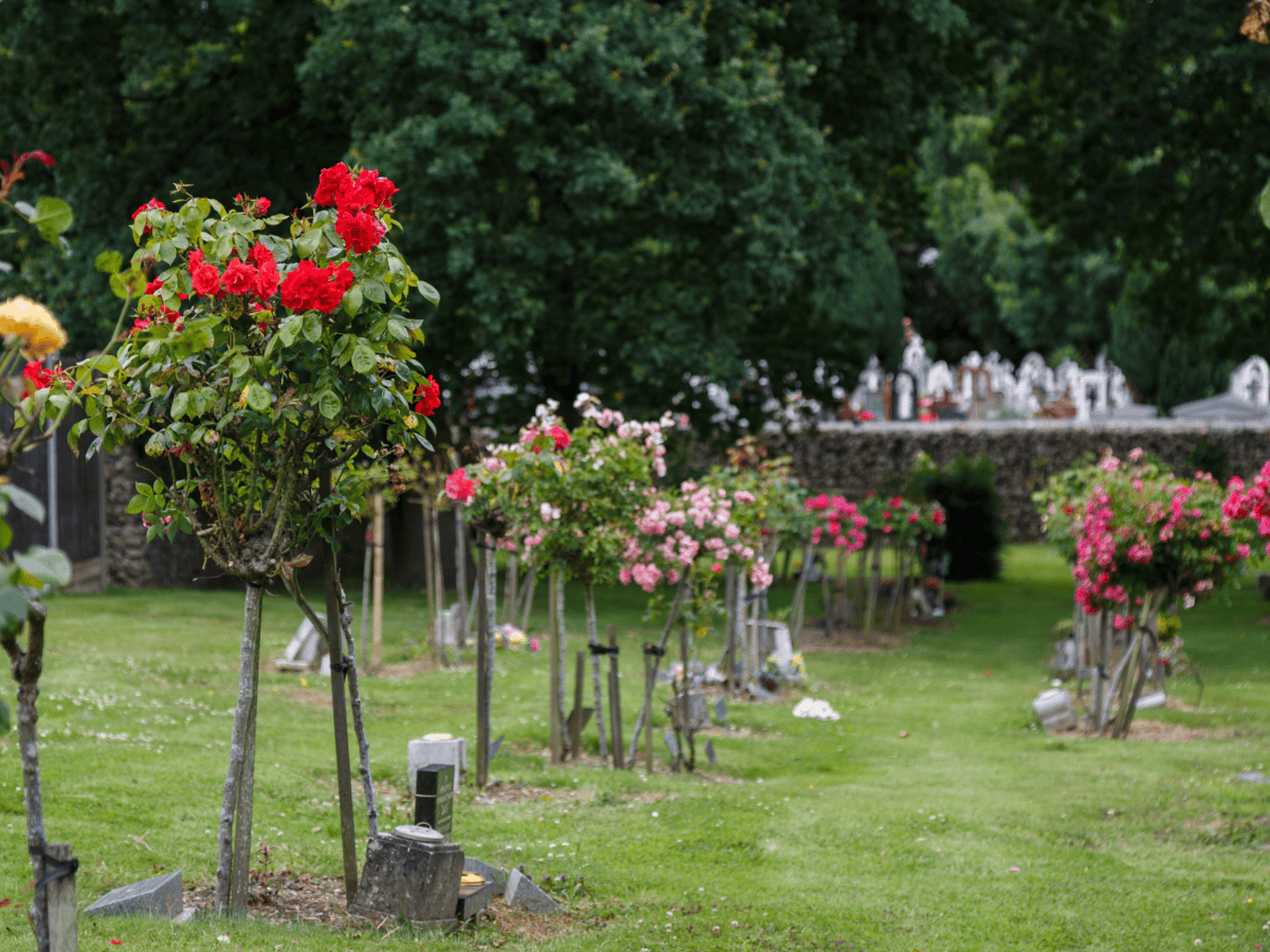 NSG - New Southgate Crematorium - Grounds 2