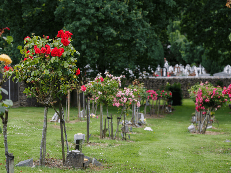 NSG - New Southgate Crematorium - Grounds 2