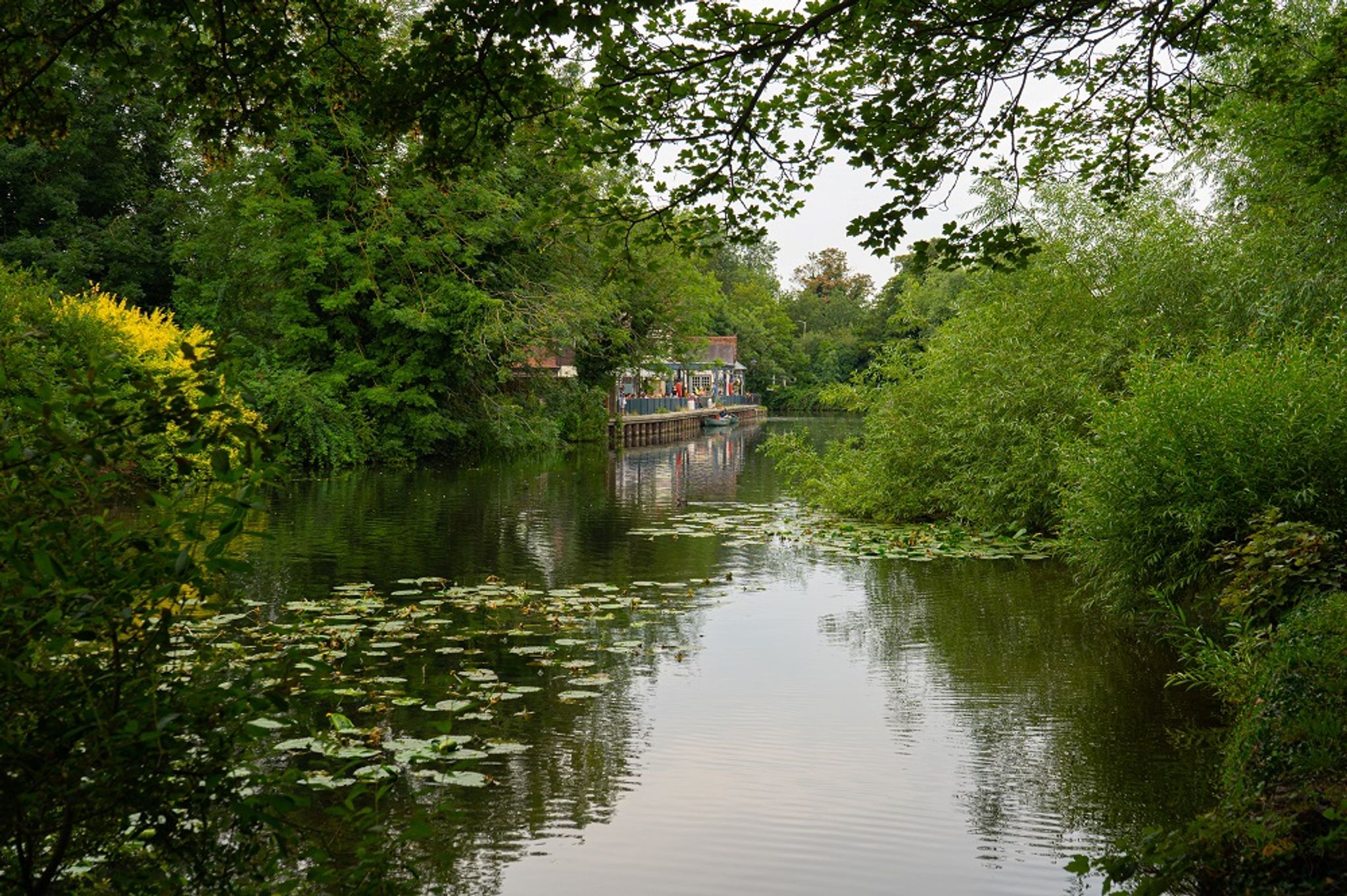 Hoddesdon direct cremation