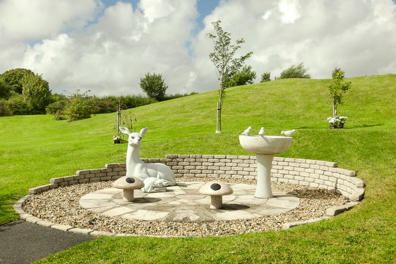 LLanelli 3