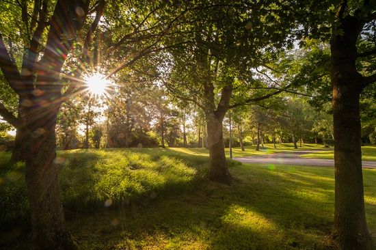 West Wiltshire Crematorium Trees