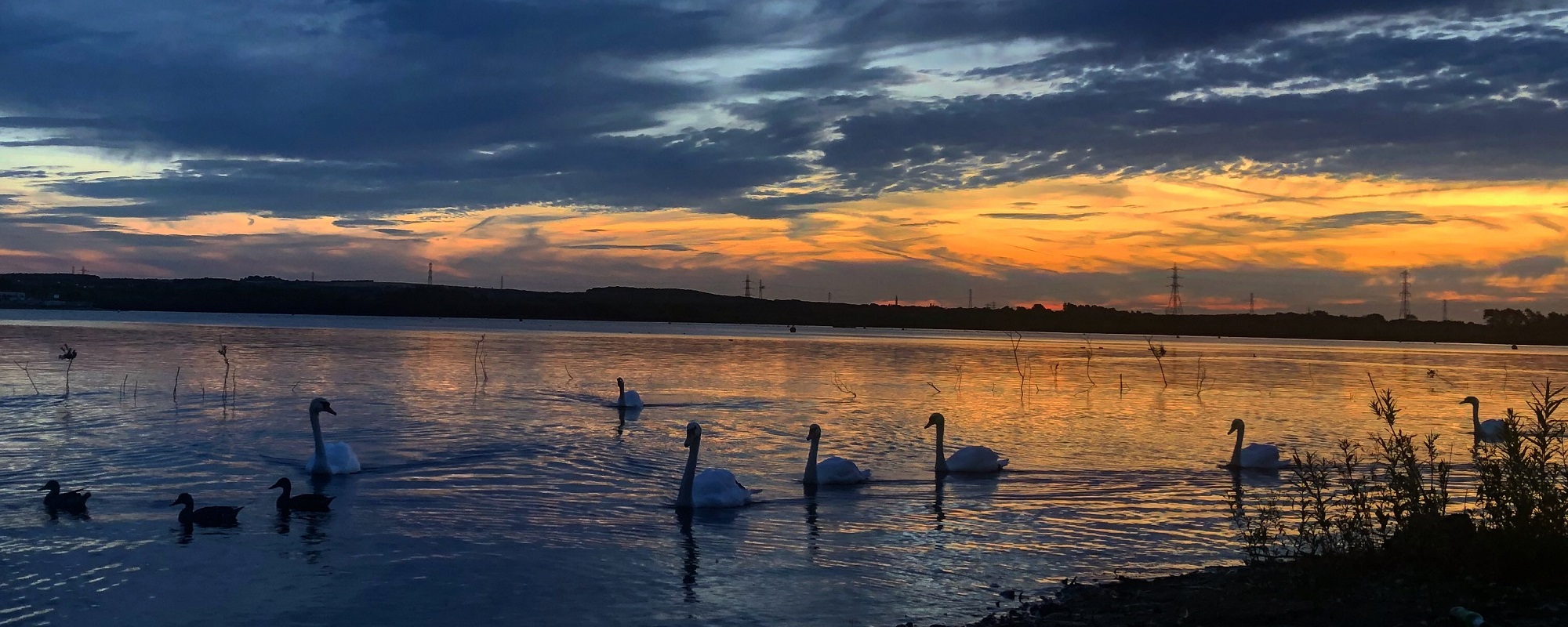Walsall Lake At Sunset With Swans
