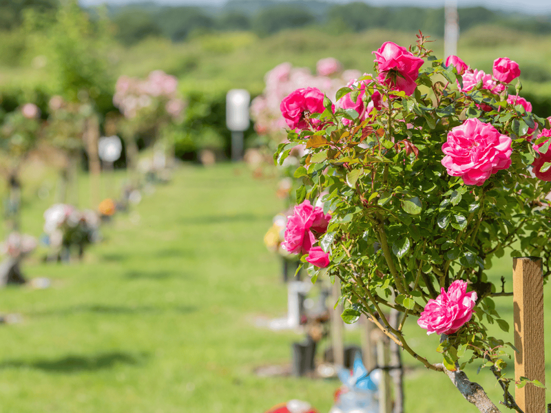 WSV - Wessex Vale Crematorium - Grounds 2