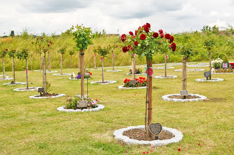 Forest park cemetery