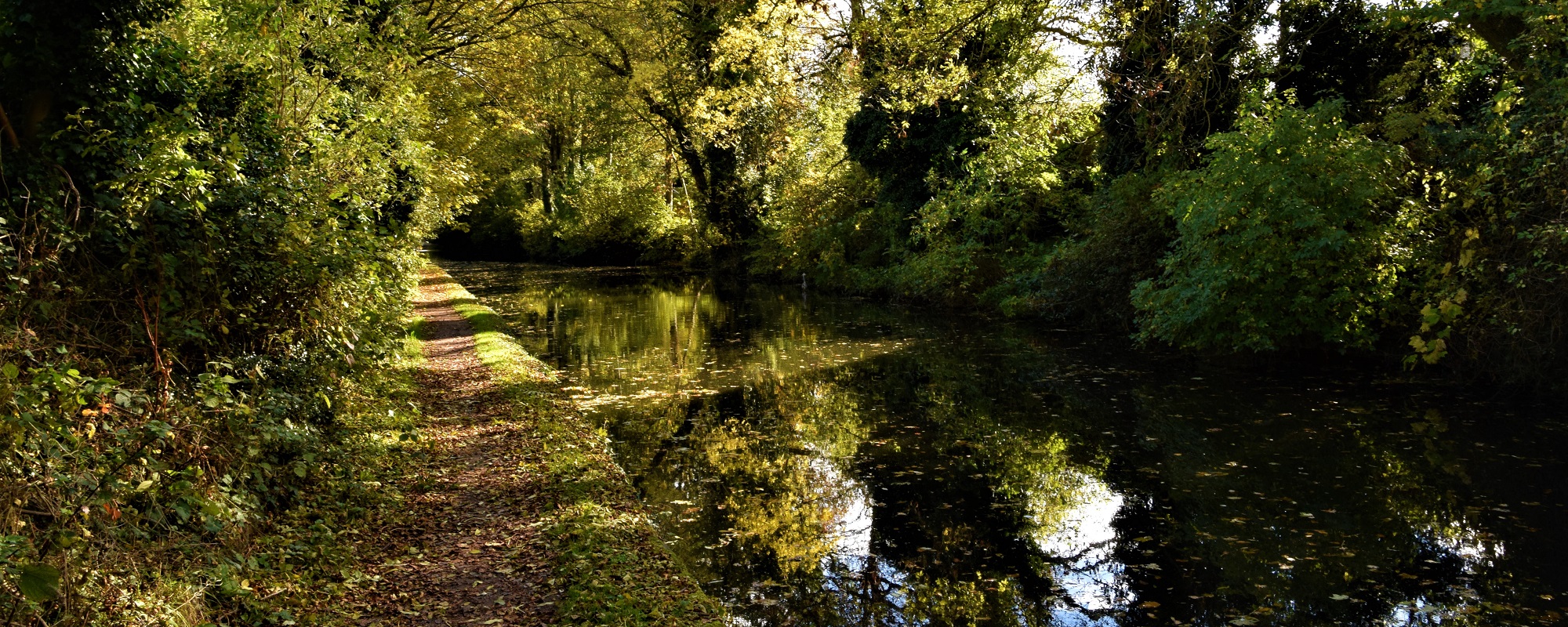 Sunshine On Solihull Canal