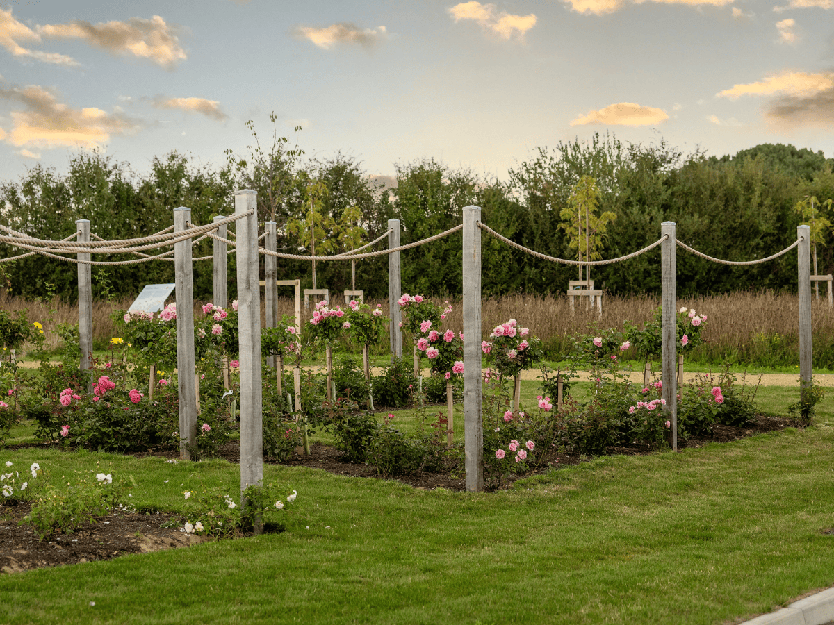 ARN - Arun Crematorium - Garden