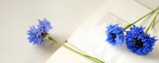 Blue Flowers On Poetry Book