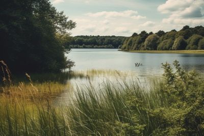 Lake On Sunny Day