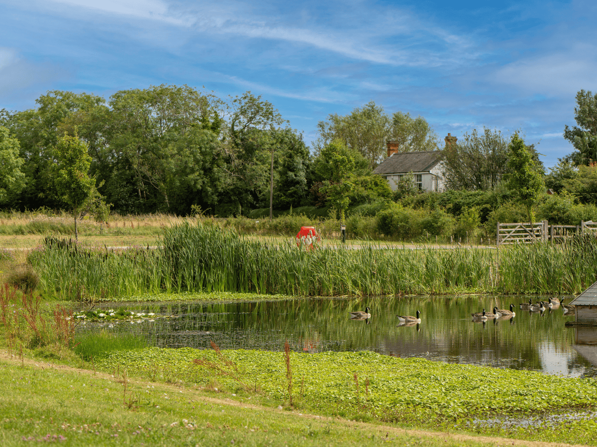 TVA - The Vale Crematorium - Grounds 1