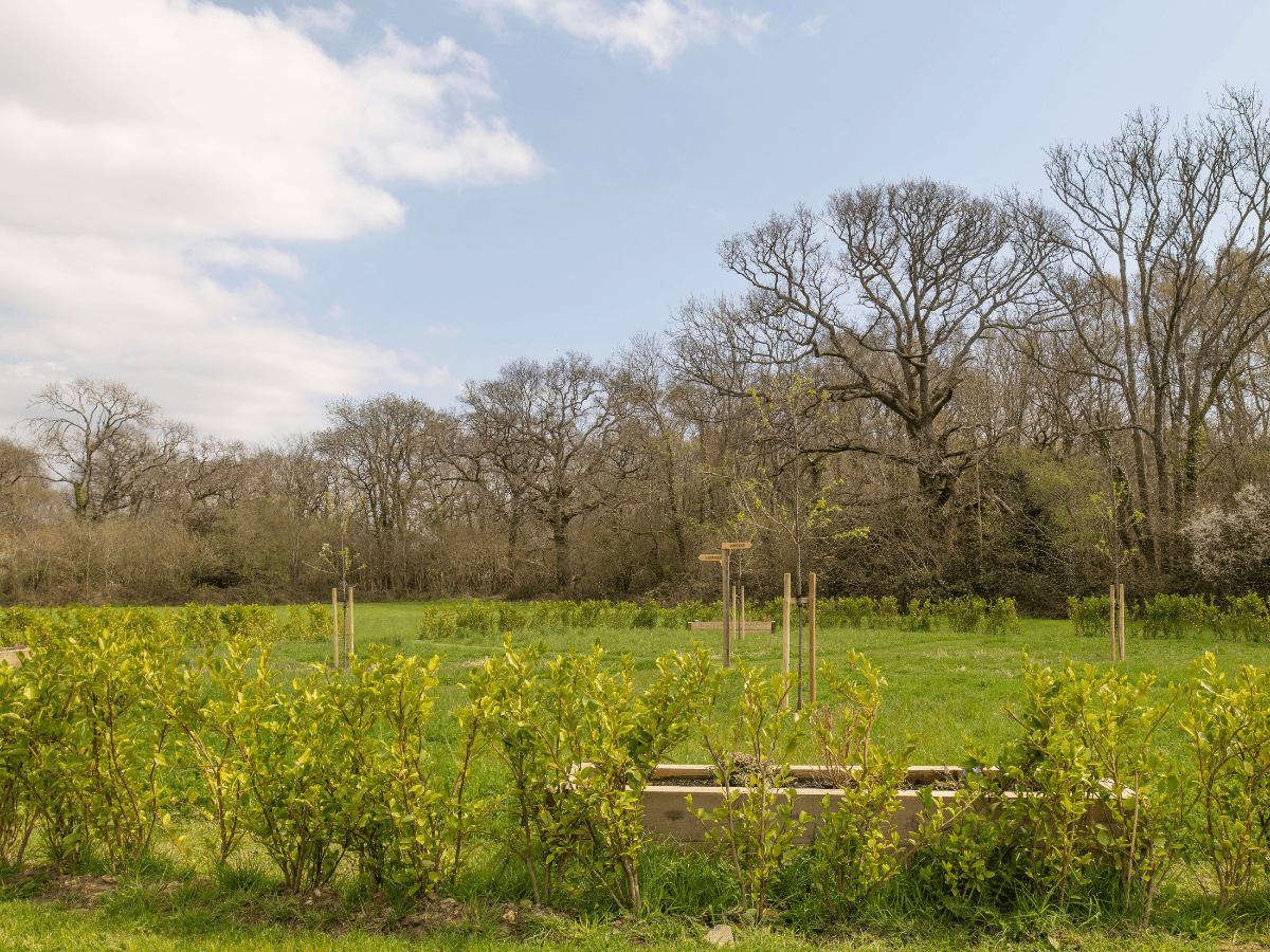NWF -New Forest Crematorium - Grounds 2