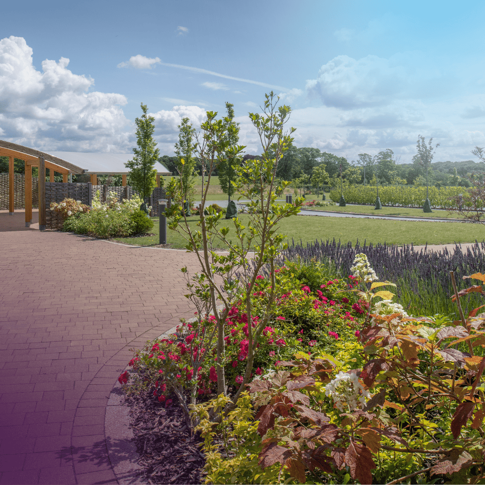 Garden at Babworth