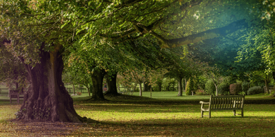 BAR - Barham Crematorium - DC - Gardens