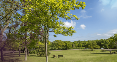 PDW - Parndon Wood Crematorium - DC