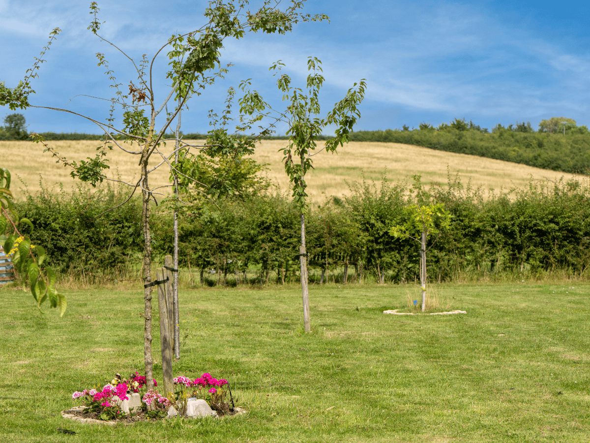 TVA - The Vale Crematorium - Grounds 2