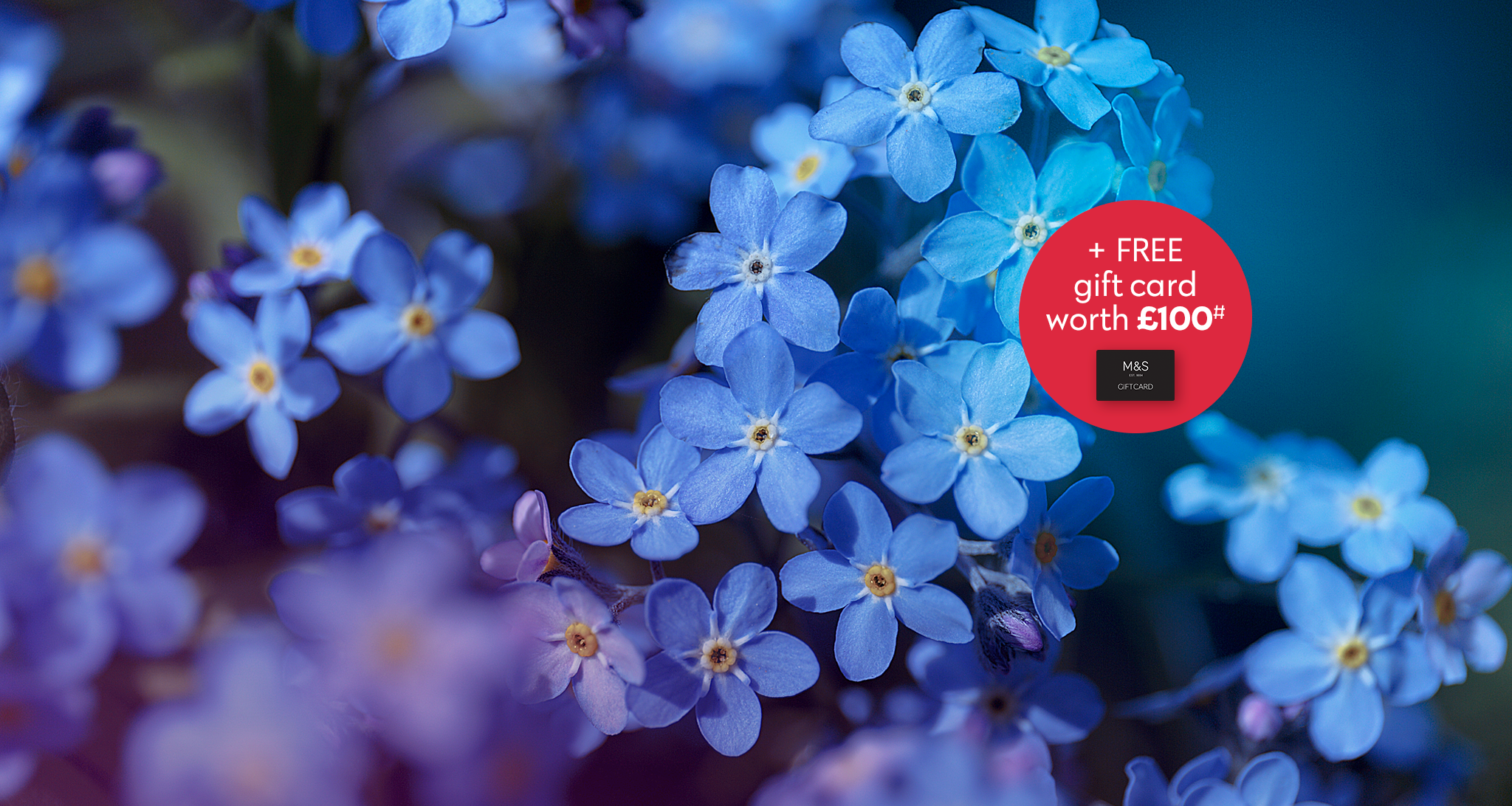 Blue Forget Me Nots Desktop Banner