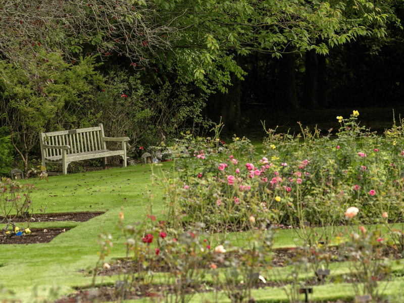 BAR - Barham Crematorium - Gardens