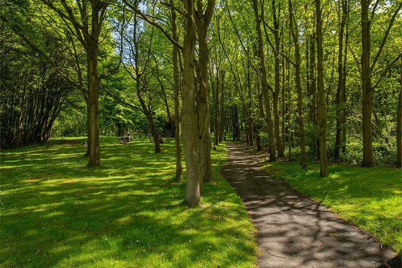 Parndon Wood 3