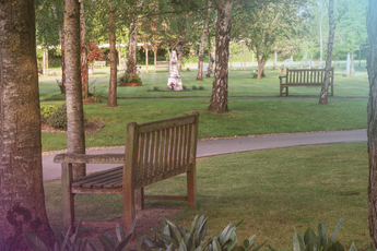 Bench in West Wilshire garden