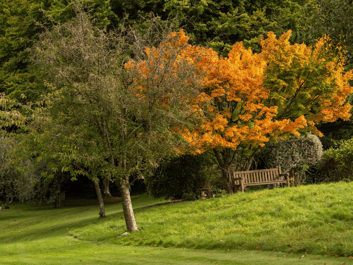 BAR - Barham Crematorium - Gardens