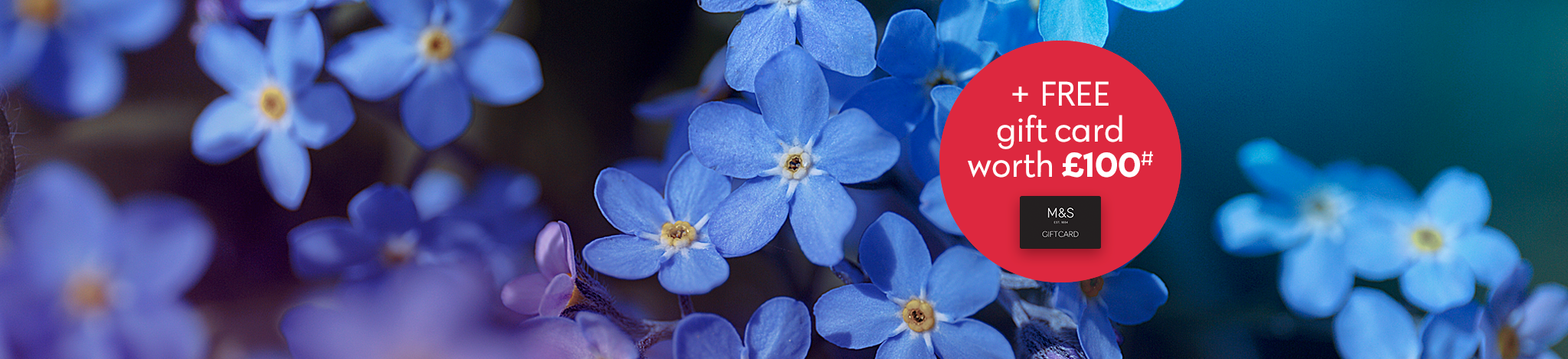 Blue Forget Me Nots Mobile Banner